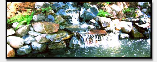 Canyon Park Pond Image